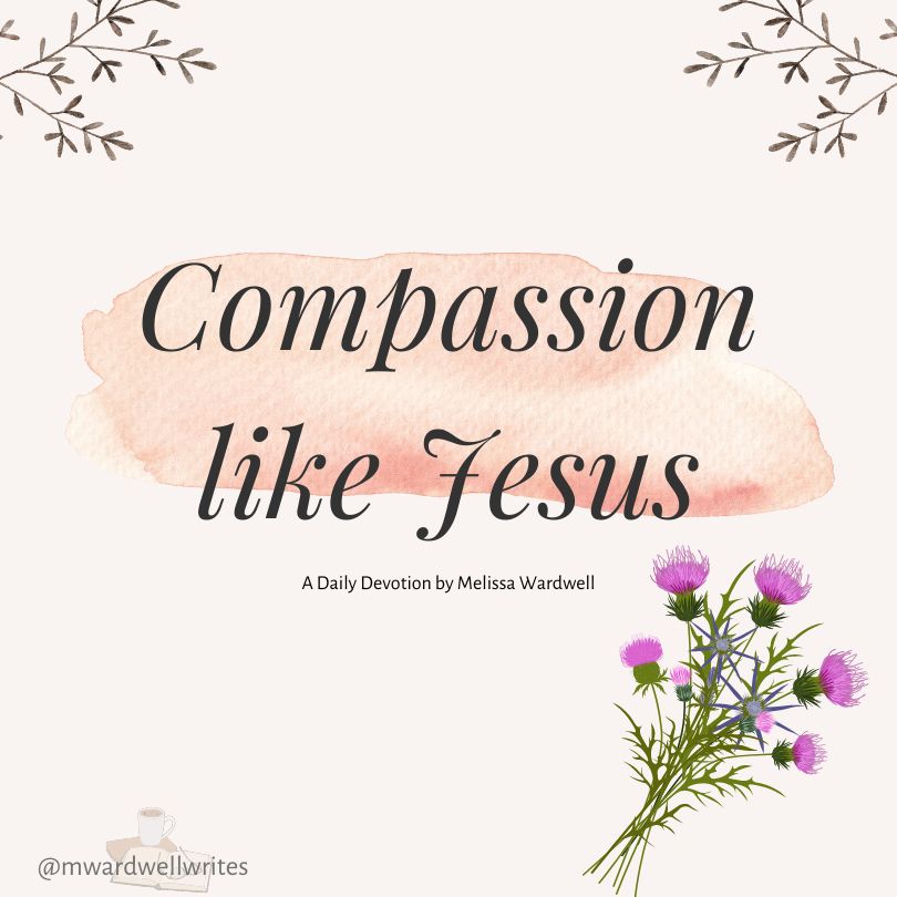 The Compassion of Jesus